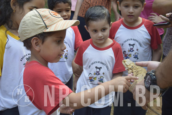 Buy your photos of the event NR1 - Day Camp 14/05/18 on Fotop