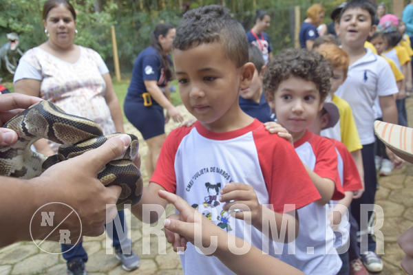 Buy your photos of the event NR1 - Day Camp 14/05/18 on Fotop