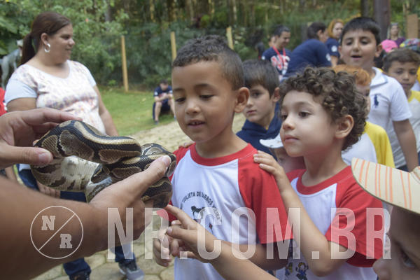 Buy your photos of the event NR1 - Day Camp 14/05/18 on Fotop