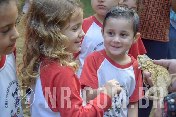 Buy your photos of the event NR1 - Day Camp 14/05/18 on Fotop