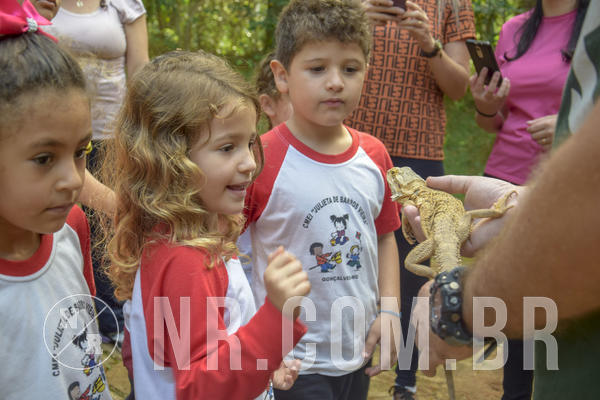 Buy your photos of the event NR1 - Day Camp 14/05/18 on Fotop