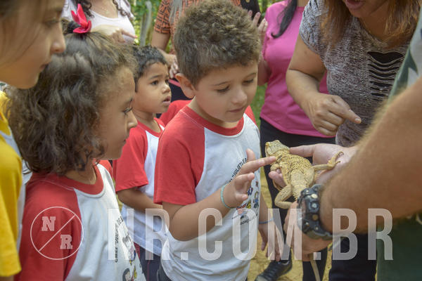 Buy your photos of the event NR1 - Day Camp 14/05/18 on Fotop