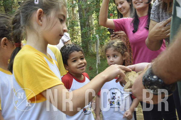 Buy your photos of the event NR1 - Day Camp 14/05/18 on Fotop