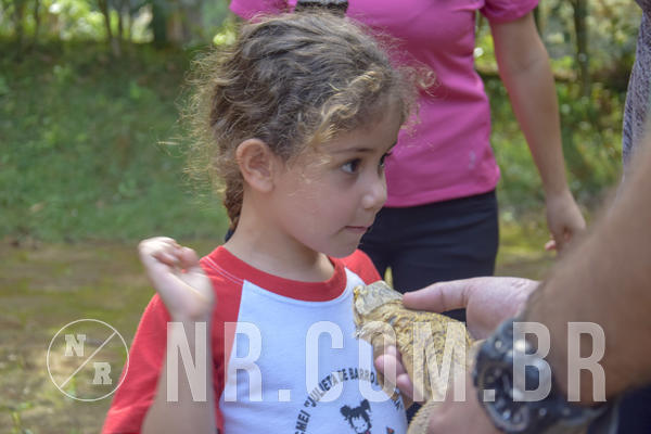 Buy your photos of the event NR1 - Day Camp 14/05/18 on Fotop