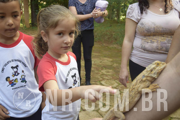 Buy your photos of the event NR1 - Day Camp 14/05/18 on Fotop