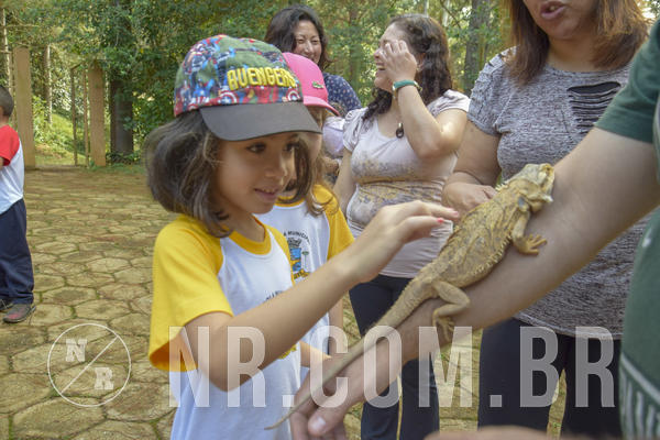 Buy your photos of the event NR1 - Day Camp 14/05/18 on Fotop