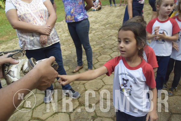 Buy your photos of the event NR1 - Day Camp 14/05/18 on Fotop