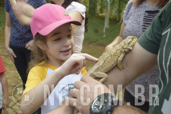 Buy your photos of the event NR1 - Day Camp 14/05/18 on Fotop