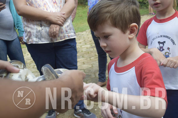 Buy your photos of the event NR1 - Day Camp 14/05/18 on Fotop