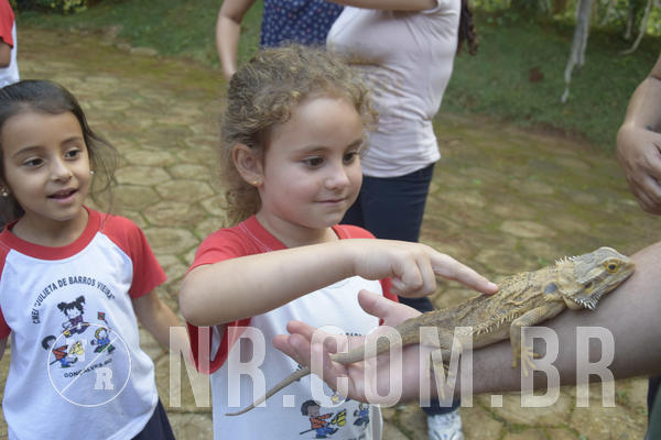 Buy your photos of the event NR1 - Day Camp 14/05/18 on Fotop