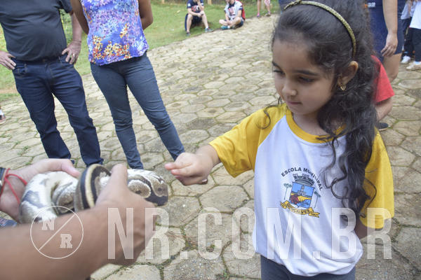 Buy your photos of the event NR1 - Day Camp 14/05/18 on Fotop