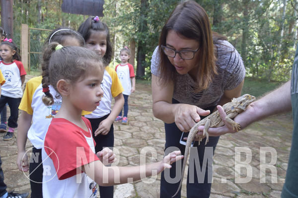 Buy your photos of the event NR1 - Day Camp 14/05/18 on Fotop