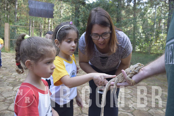 Buy your photos of the event NR1 - Day Camp 14/05/18 on Fotop