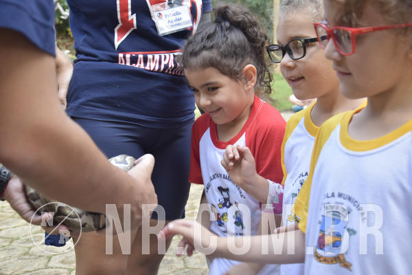 Buy your photos of the event NR1 - Day Camp 14/05/18 on Fotop