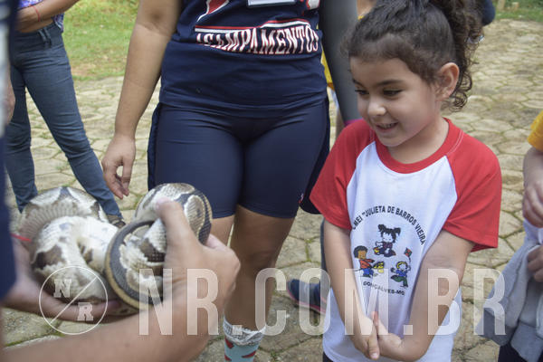 Buy your photos of the event NR1 - Day Camp 14/05/18 on Fotop