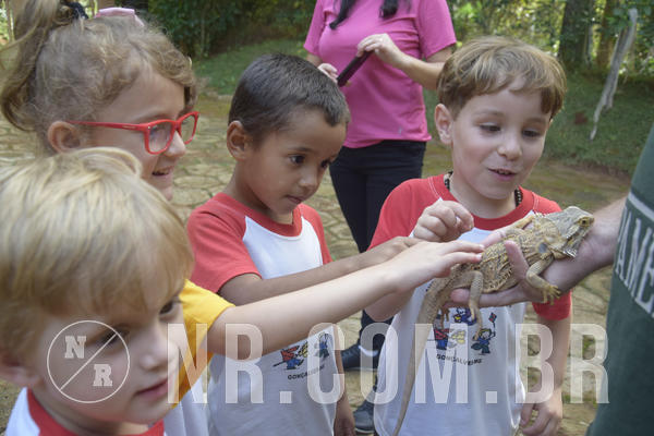 Buy your photos of the event NR1 - Day Camp 14/05/18 on Fotop