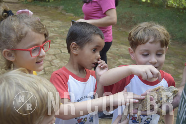 Buy your photos of the event NR1 - Day Camp 14/05/18 on Fotop