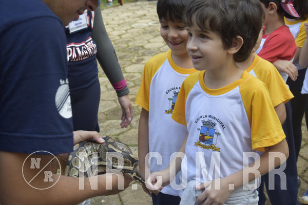 Buy your photos of the event NR1 - Day Camp 14/05/18 on Fotop