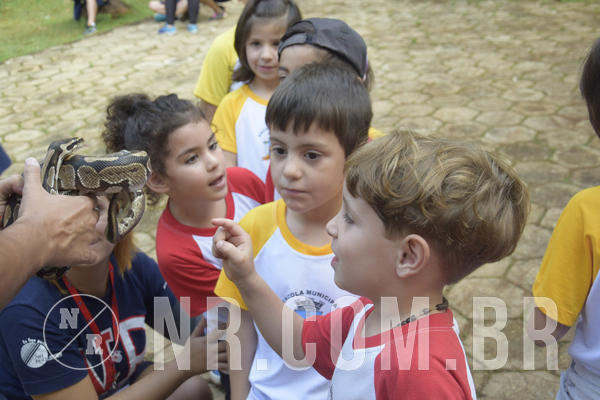 Buy your photos of the event NR1 - Day Camp 14/05/18 on Fotop