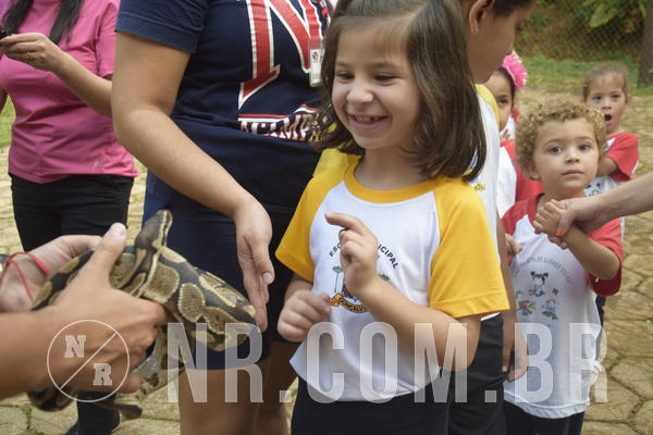 Buy your photos of the event NR1 - Day Camp 14/05/18 on Fotop