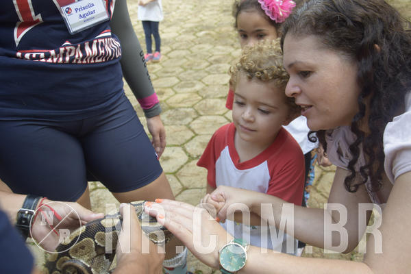 Buy your photos of the event NR1 - Day Camp 14/05/18 on Fotop