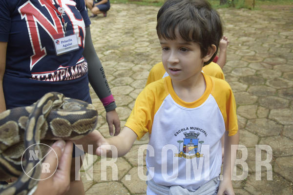 Buy your photos of the event NR1 - Day Camp 14/05/18 on Fotop