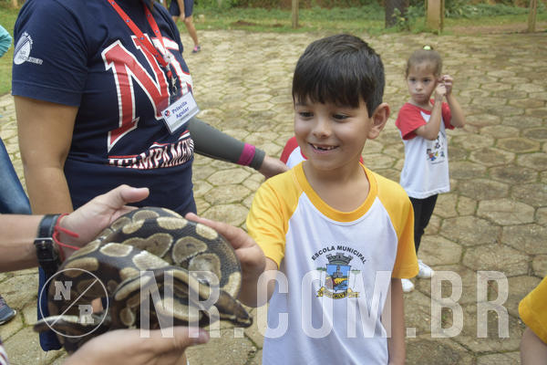 Buy your photos of the event NR1 - Day Camp 14/05/18 on Fotop