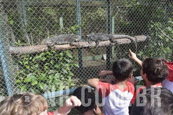 Buy your photos of the event NR1 - Day Camp 14/05/18 on Fotop