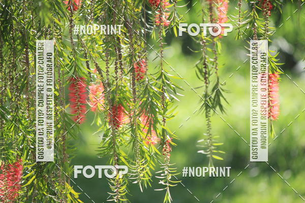 Buy your photos of the eventCORRIDA BEER RUN  on Fotop