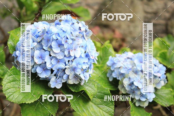 Buy your photos of the eventCoffee  Run on Fotop