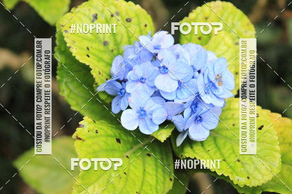 Buy your photos of the eventCoffee  Run on Fotop