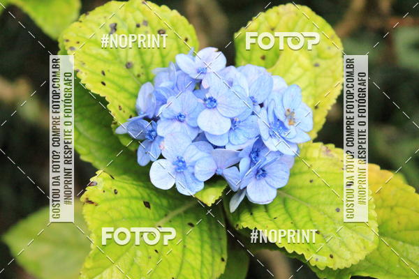 Buy your photos of the eventCoffee  Run on Fotop