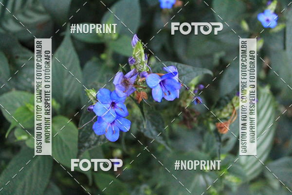 Buy your photos of the eventCoffee  Run on Fotop