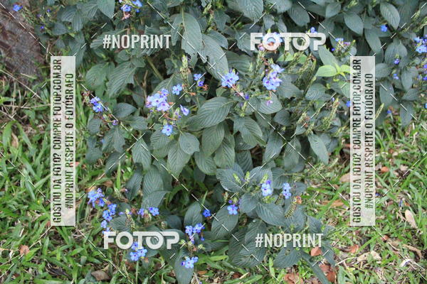 Buy your photos of the eventCoffee  Run on Fotop