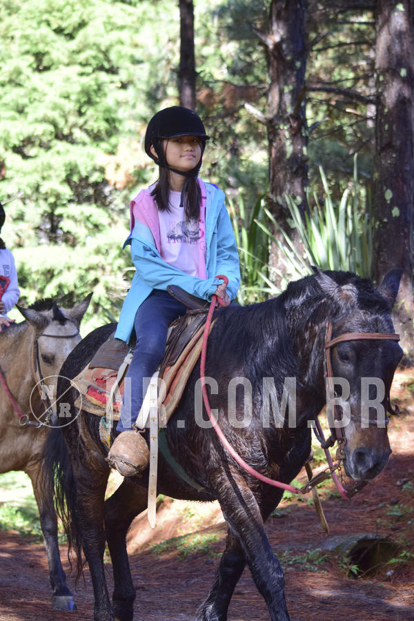 Buy your photos of the eventNR1 - ENGLISH & ACTION - 17 A 19/05/19 on Fotop