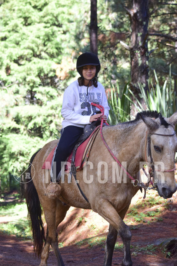 Buy your photos of the eventNR1 - ENGLISH & ACTION - 17 A 19/05/19 on Fotop