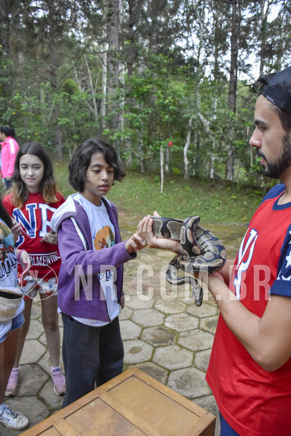 Buy your photos of the eventNR1 - Day Camp 20/05/2019 on Fotop