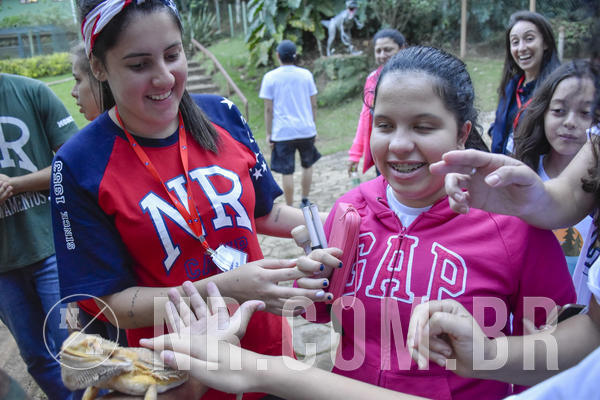 Buy your photos of the eventNR1 - Day Camp 20/05/2019 on Fotop