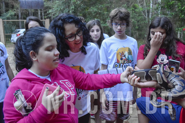 Buy your photos of the eventNR1 - Day Camp 20/05/2019 on Fotop