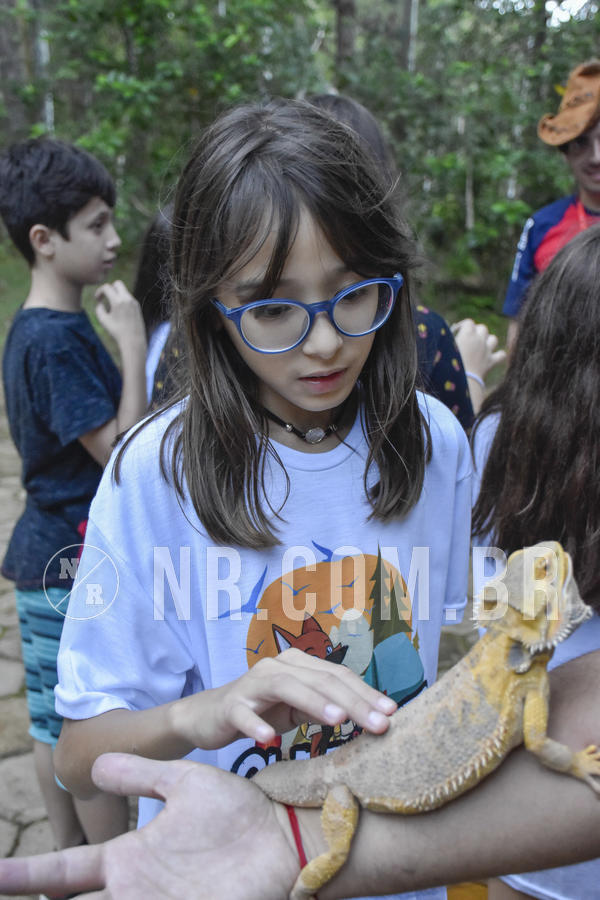 Buy your photos of the eventNR1 - Day Camp 20/05/2019 on Fotop