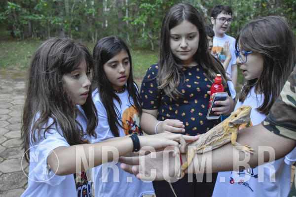 Buy your photos of the eventNR1 - Day Camp 20/05/2019 on Fotop