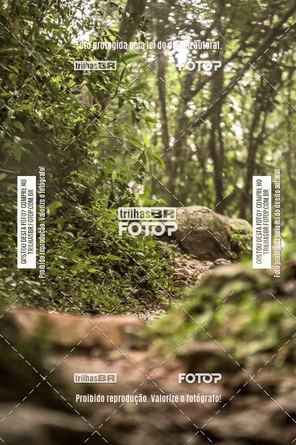 Buy your photos of the eventTrail Run Praias 2019 - Etapa Naufragados on Fotop