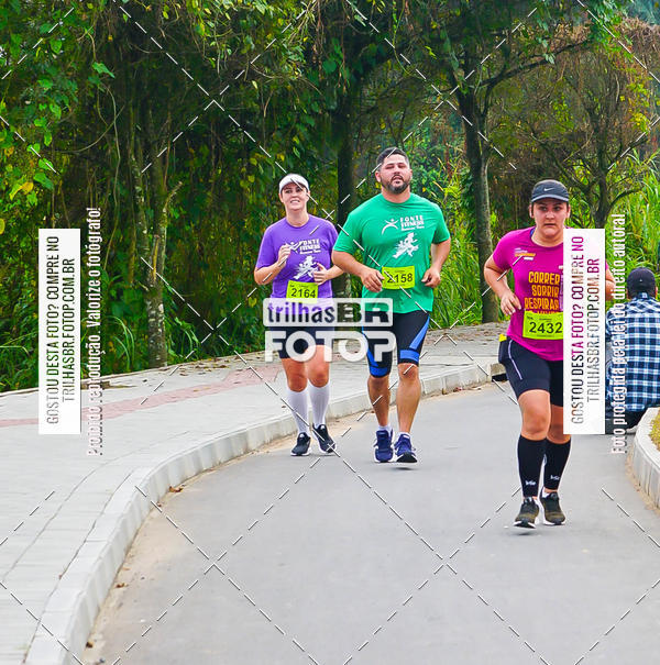 Buy your photos of the eventMeia Maratona de Blumenau on Fotop