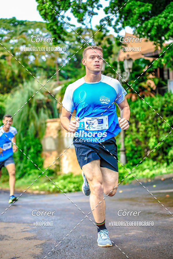 Acquista le foto dell'eventoNOVEMBRO AZUL in Fotop