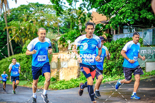 Acquista le foto dell'eventoNOVEMBRO AZUL in Fotop