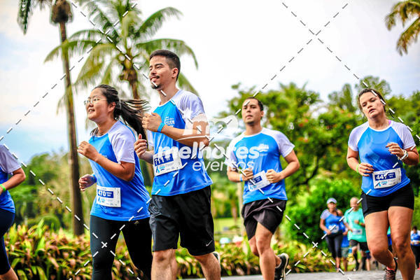 Acquista le foto dell'eventoNOVEMBRO AZUL in Fotop