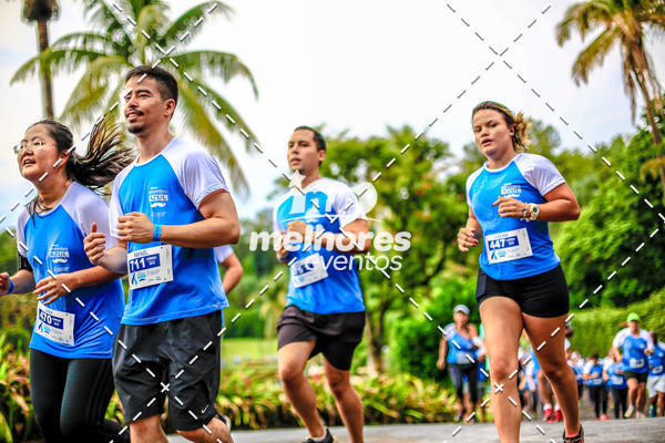 Acquista le foto dell'eventoNOVEMBRO AZUL in Fotop