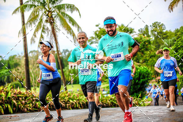 Acquista le foto dell'eventoNOVEMBRO AZUL in Fotop