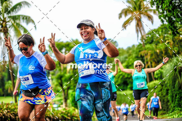 Achetez vos photos de l'vnementNOVEMBRO AZUL sur Fotop