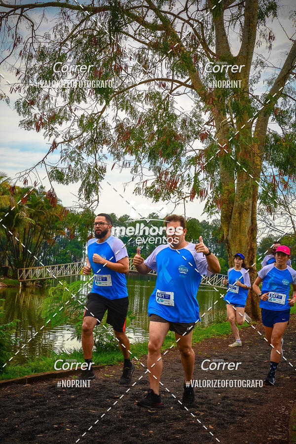 Acquista le foto dell'eventoNOVEMBRO AZUL in Fotop